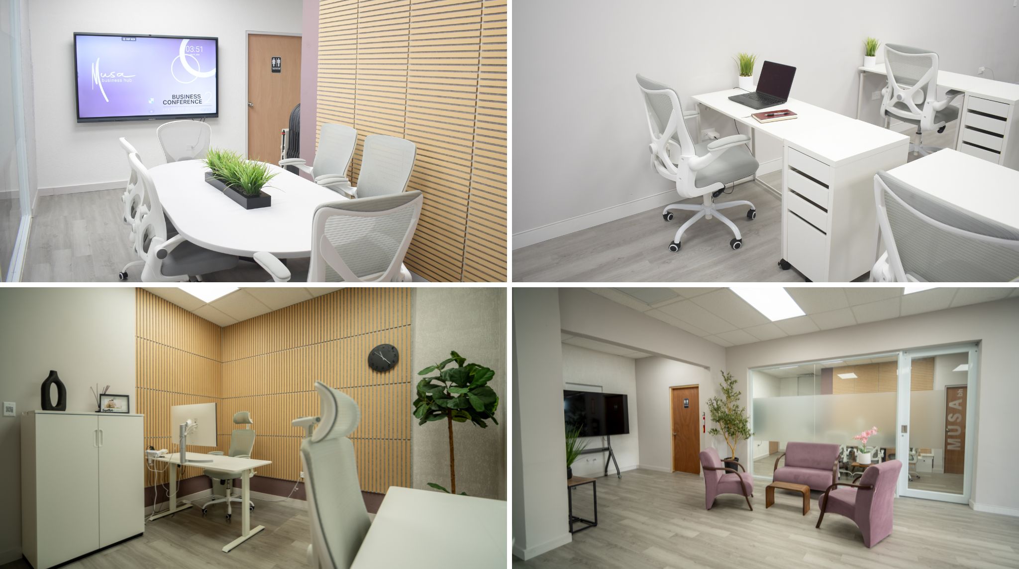 Musa Business Hub Corozal Gallery